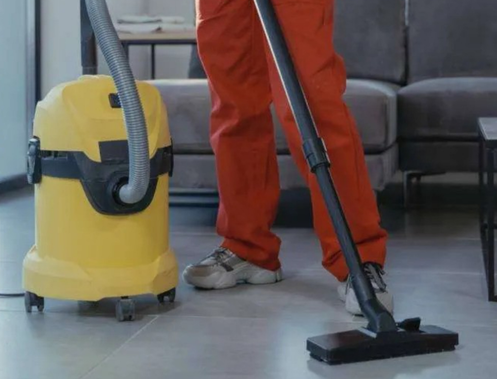 Professional House Washing